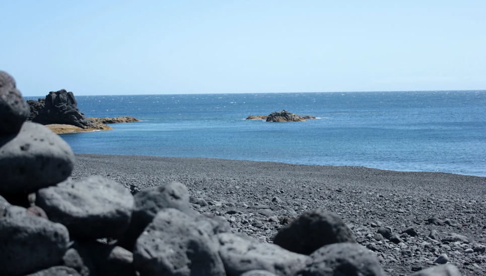 Limpieza Playa Echentive