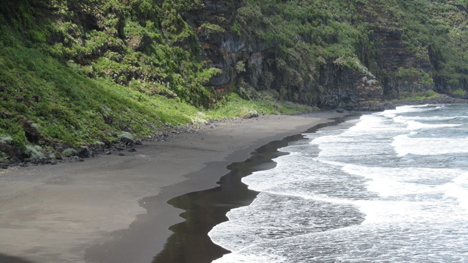 Limpieza Playa Nogales